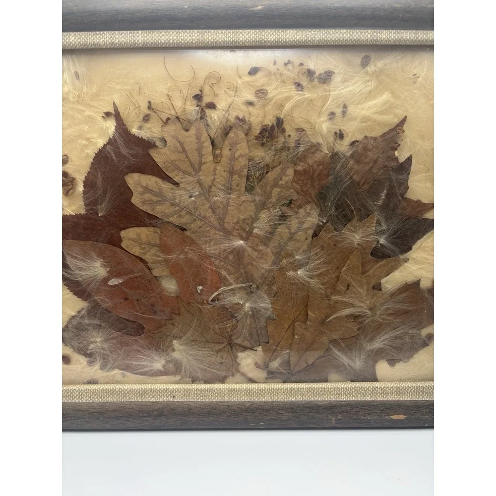 VTG 1971 Framed Pressed Leaf Collage Art Real Dried Autumn Botanical Mixed Media